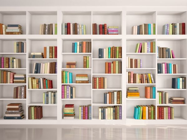 Bookshelf Assembly in Monroe