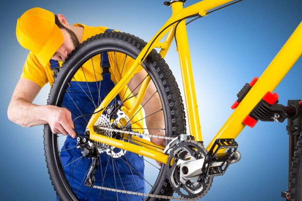 Bike Assembly in Monroe