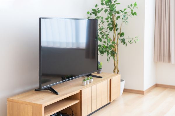TV Stand Assembly in Monroe