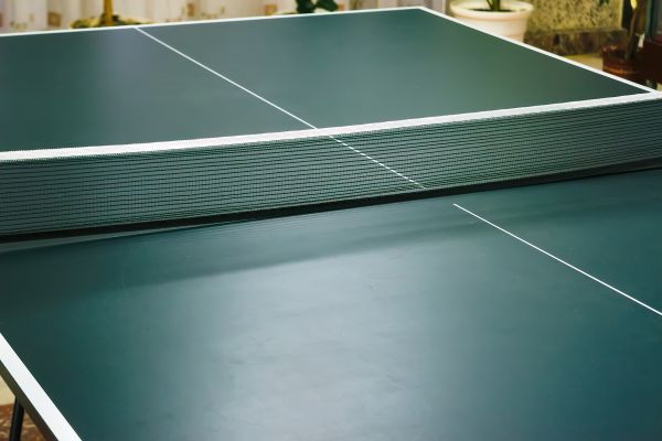 Ping Pong Table Assembly in Monroe